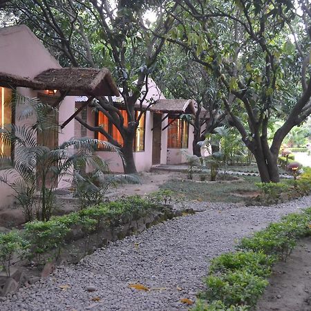 Vanya River Lodge Dhikuli 外观 照片